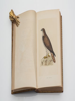 A History of British Birds