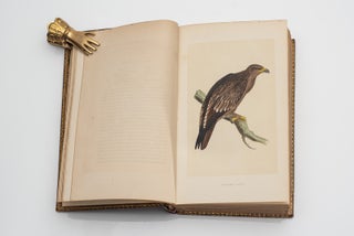 A History of British Birds