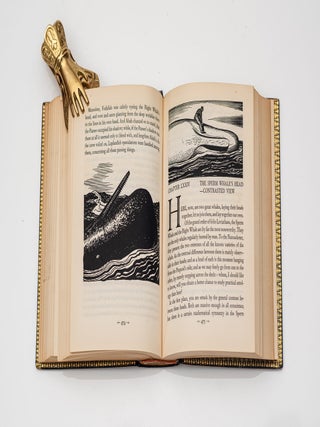 Moby Dick or the Whale